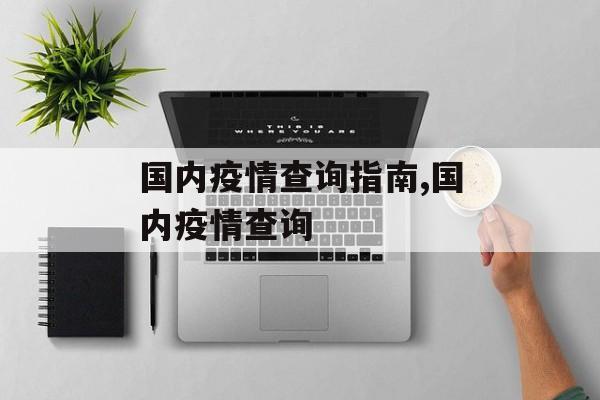 国内疫情查询指南,国内疫情查询