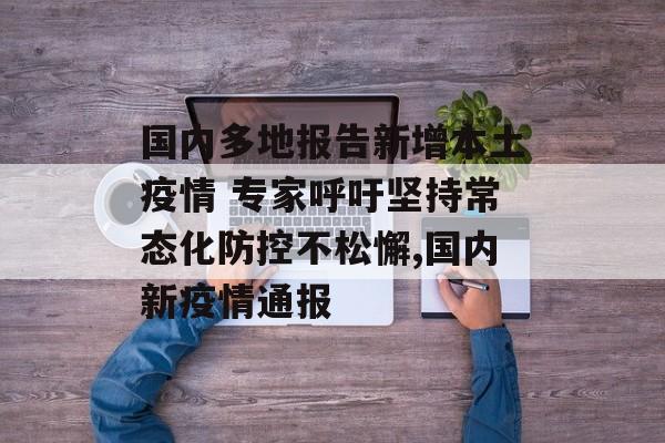 国内多地报告新增本土疫情 专家呼吁坚持常态化防控不松懈,国内新疫情通报